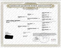 Last N Final Request