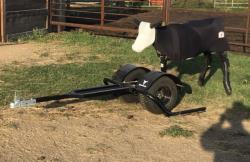 ROPING DUMMY HEEL-O-MATIC  THE DRIFTER