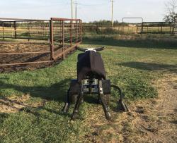 ROPING DUMMY HEEL-O-MATIC  THE DRIFTER
