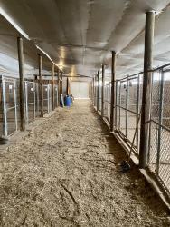 Horse Arena for Sale