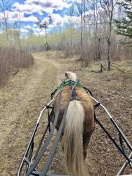 Horse Arena for Sale