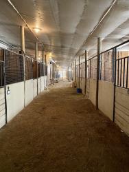 Horse Arena for Sale