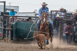 Horse Training Services