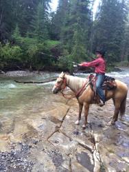 Horse Training Services