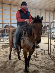 Horse Training Services