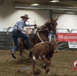 Horse Training Services