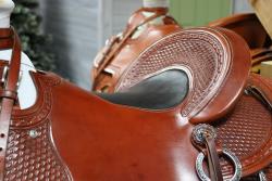 15.5 Experience Leather Lady Wade