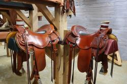 15.5 Experience Leather Lady Wade