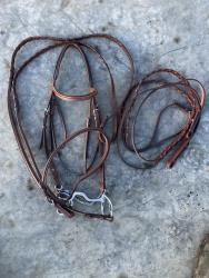 Lynn Palm by Forestier English Saddle Package