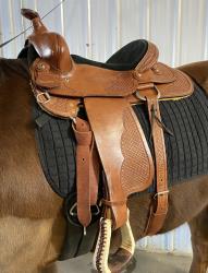 Made in Alberta Eamor's All-around