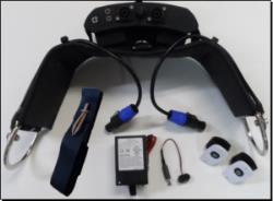 Cutting Horse Pro Cutter Sour Cow Motivator