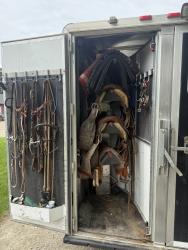 2012 3H Elite Colt LQ