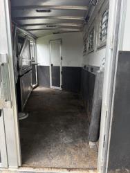 2012 3H Elite Colt LQ