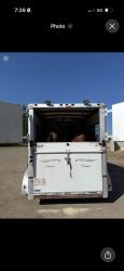Sundowner 2 Horse Trailer