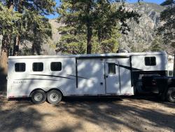 2020 Bison horse trailer 