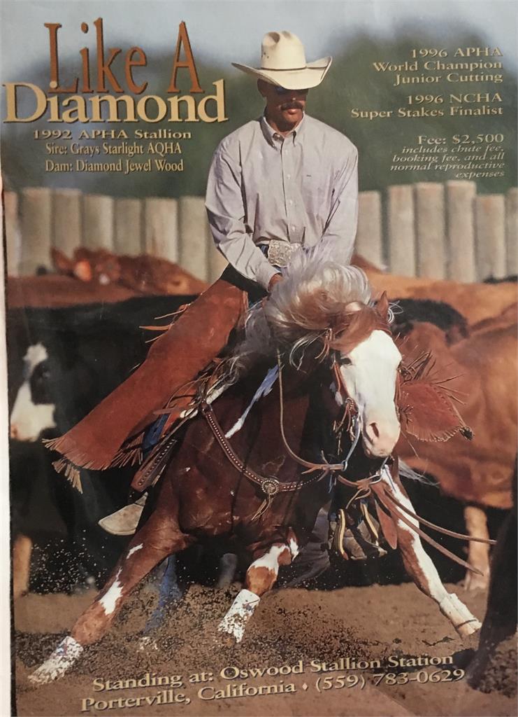 Image #7 (Ruff Cuttin Diamond)