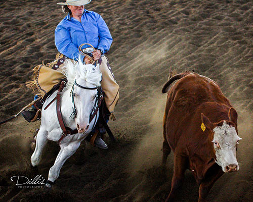 Image courtesy of Down the Fenske Cow Horses