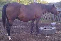 Sept 14 2024 Hcf Chiconita Queen