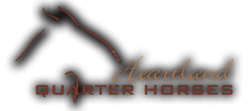 Heartland Quarter Horses logo