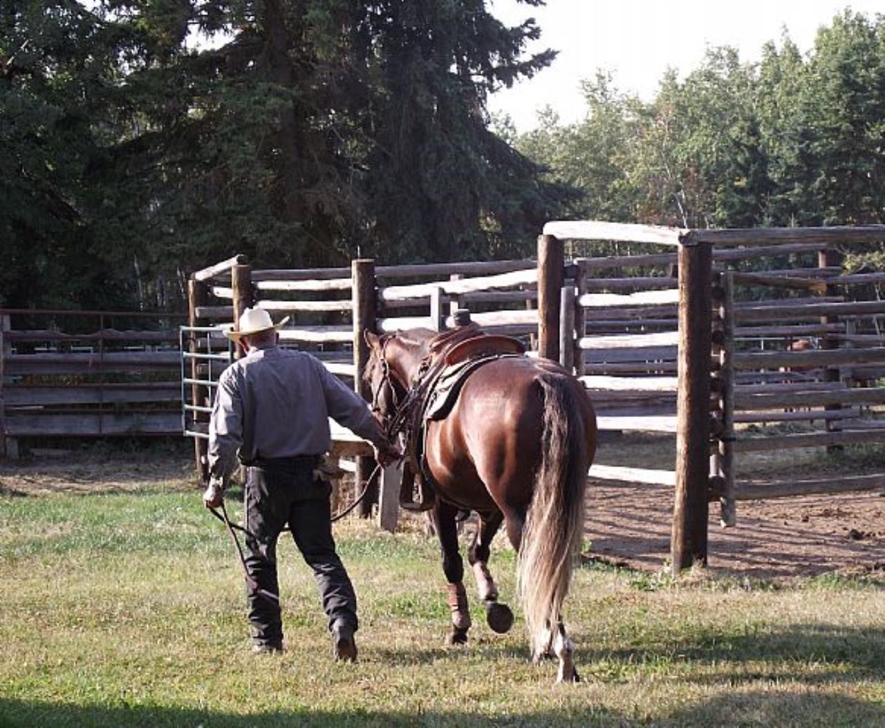 Returning after a long ride