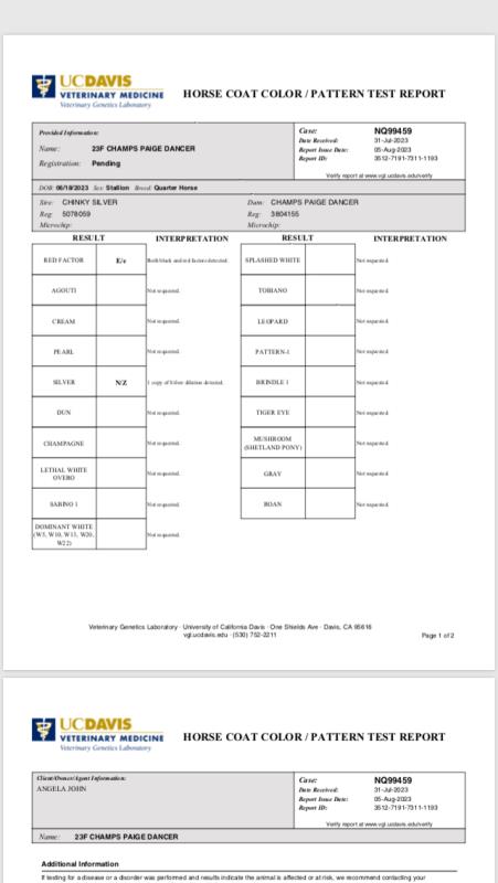 Image #5 (Continental Silver (Crockett))