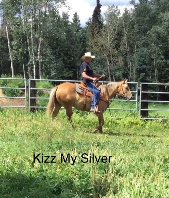 2017 - KIZZ MY SILVER