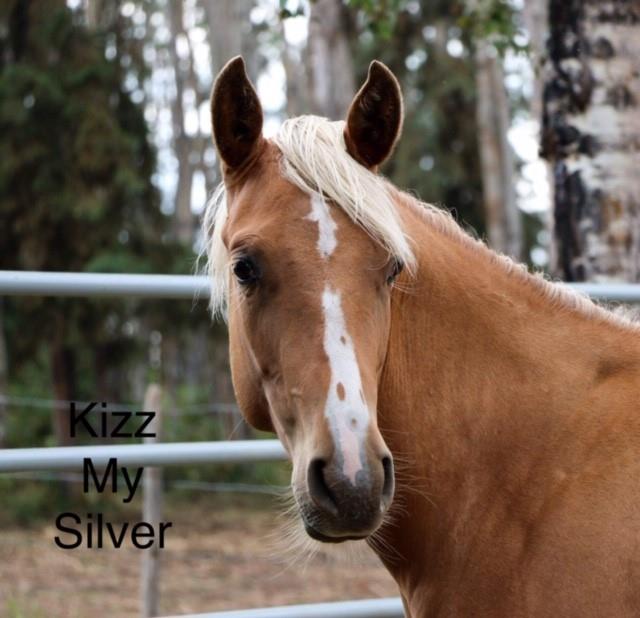 Image #2 (2017 - KIZZ MY SILVER)