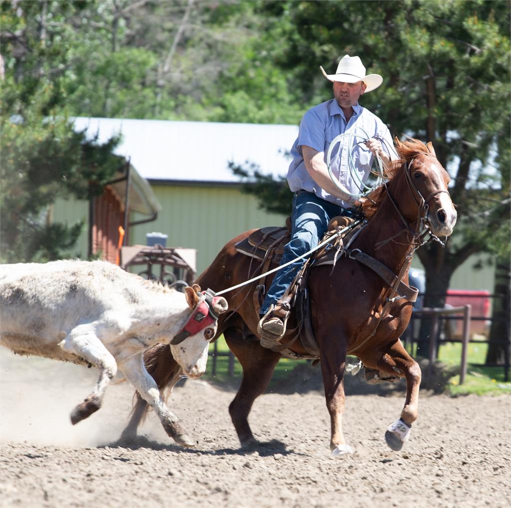 Image #4 (DHS LIL RICHOCHET)