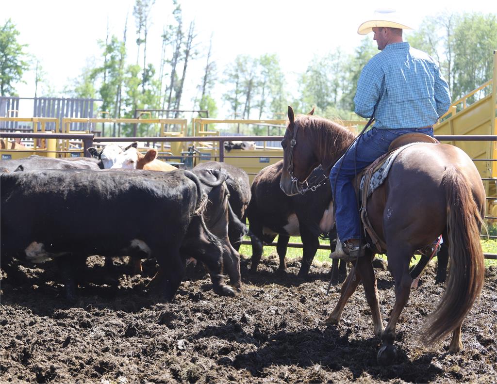 Image #6 (DHS LIL RICHOCHET)