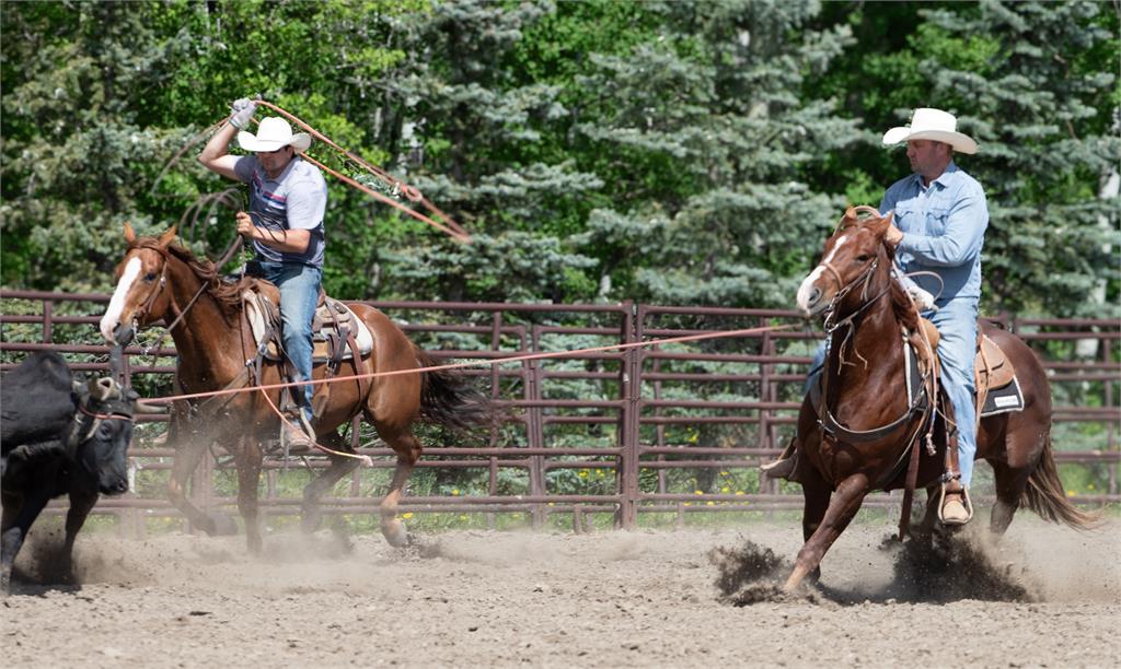 Image #5 (DHS LIL RICHOCHET)