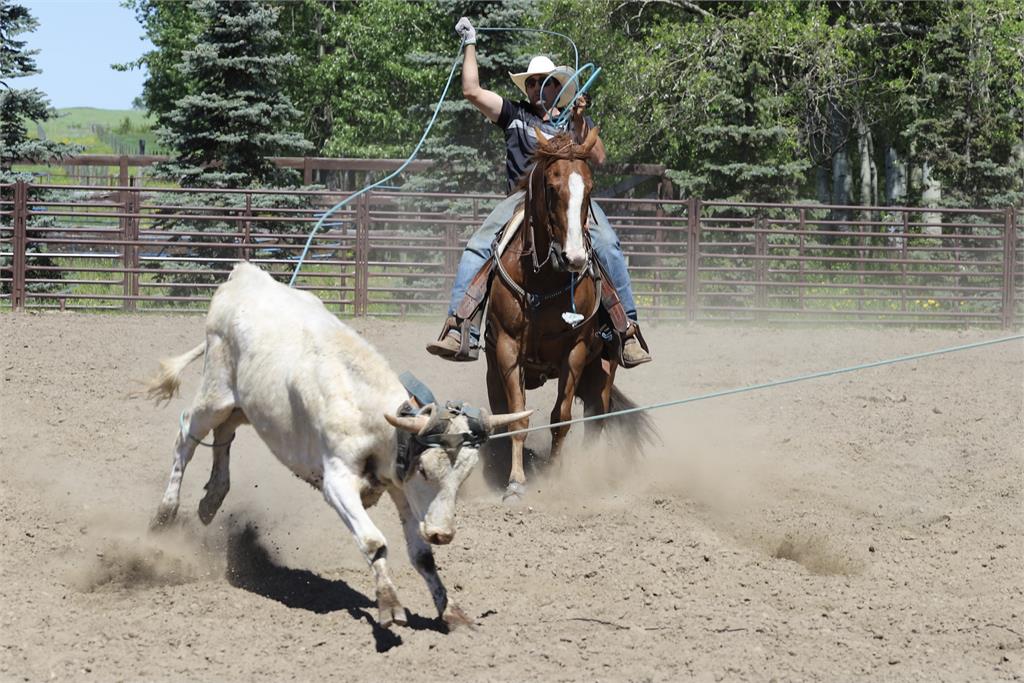 Image #2 (FRANKIES INFERNO)