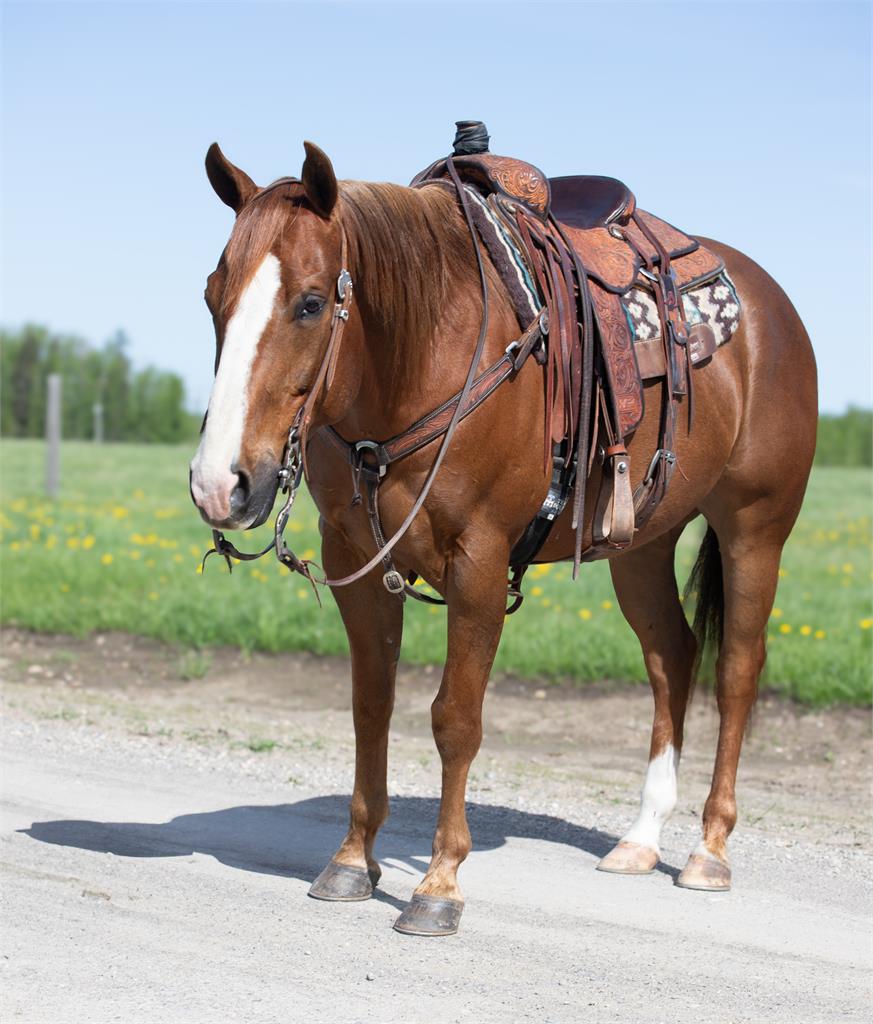 Image #5 (FRANKIES INFERNO)