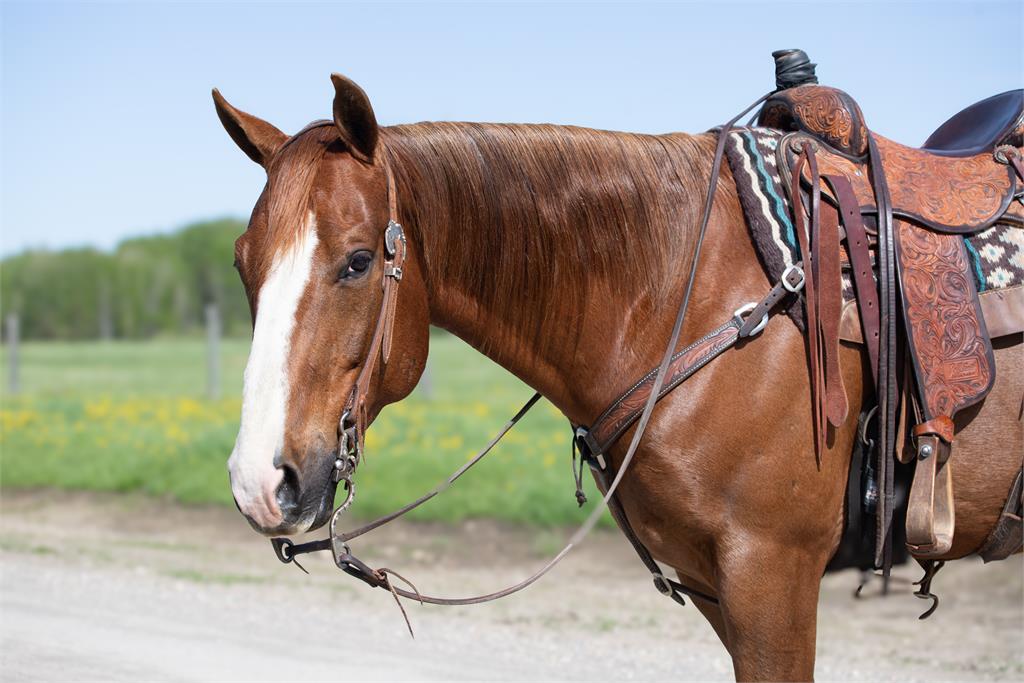 Image #4 (FRANKIES INFERNO)