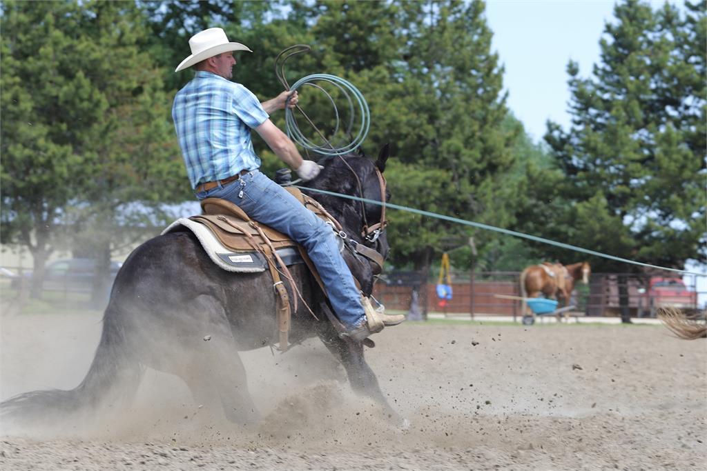 Image #4 (REMIS PISTOL PETE)