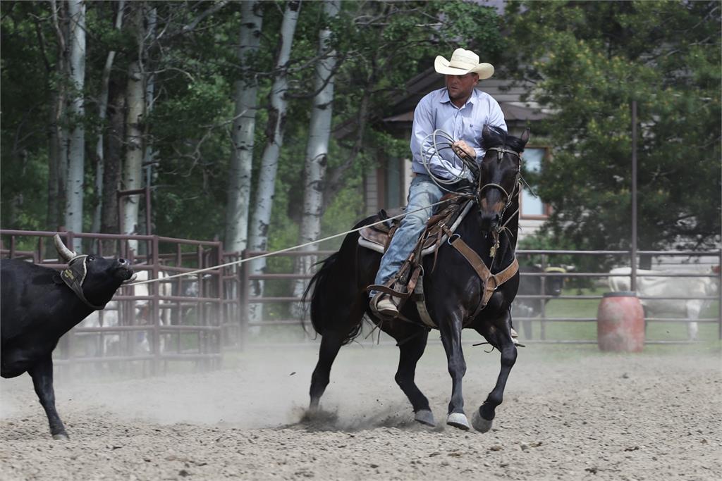 Image #4 (ARCHIES BLUE HANCOCK)