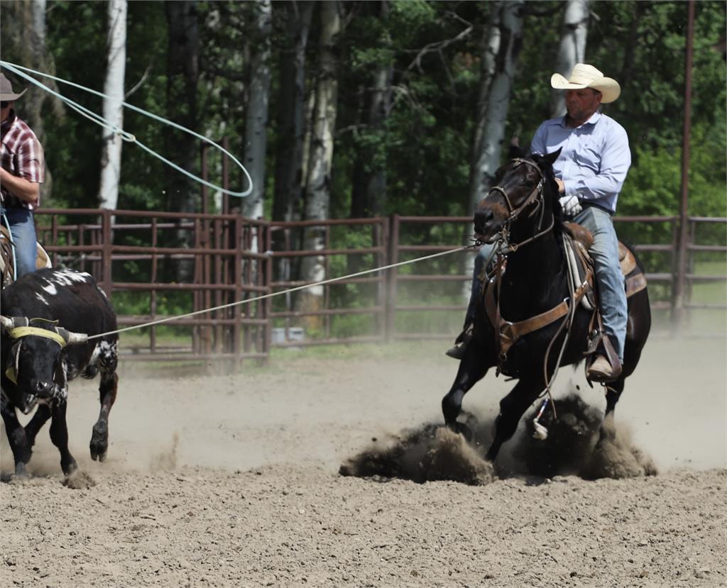 Image #3 (ARCHIES BLUE HANCOCK)