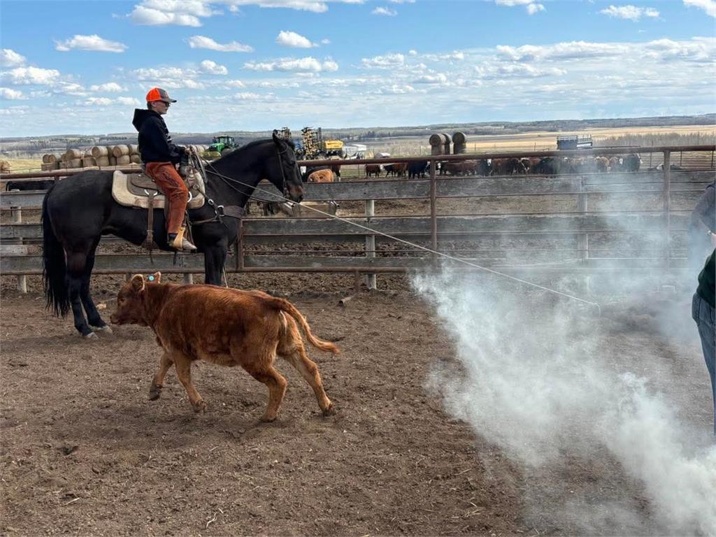 Image #2 (ARCHIES BLUE HANCOCK)