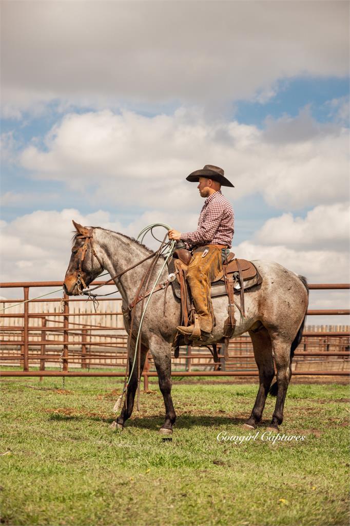 Image #4 (BMP PEPTOS SMUDGE)