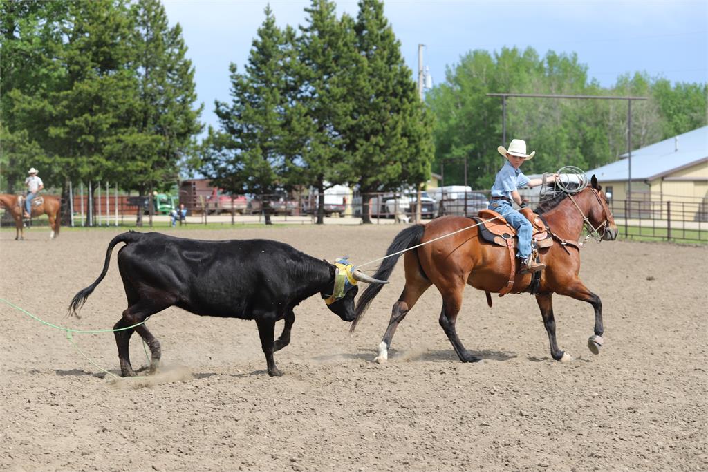 Image #6 (CHOCOLATE CHIP )