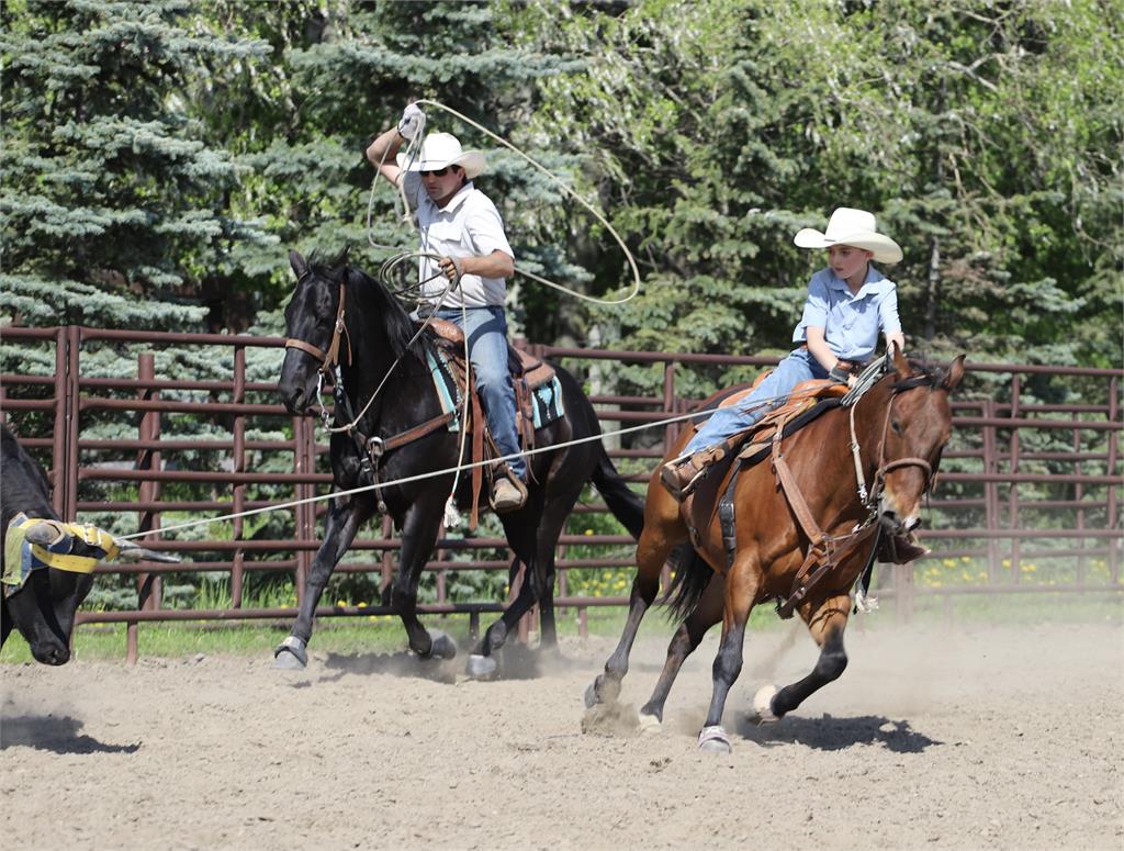 Image #5 (CHOCOLATE CHIP )