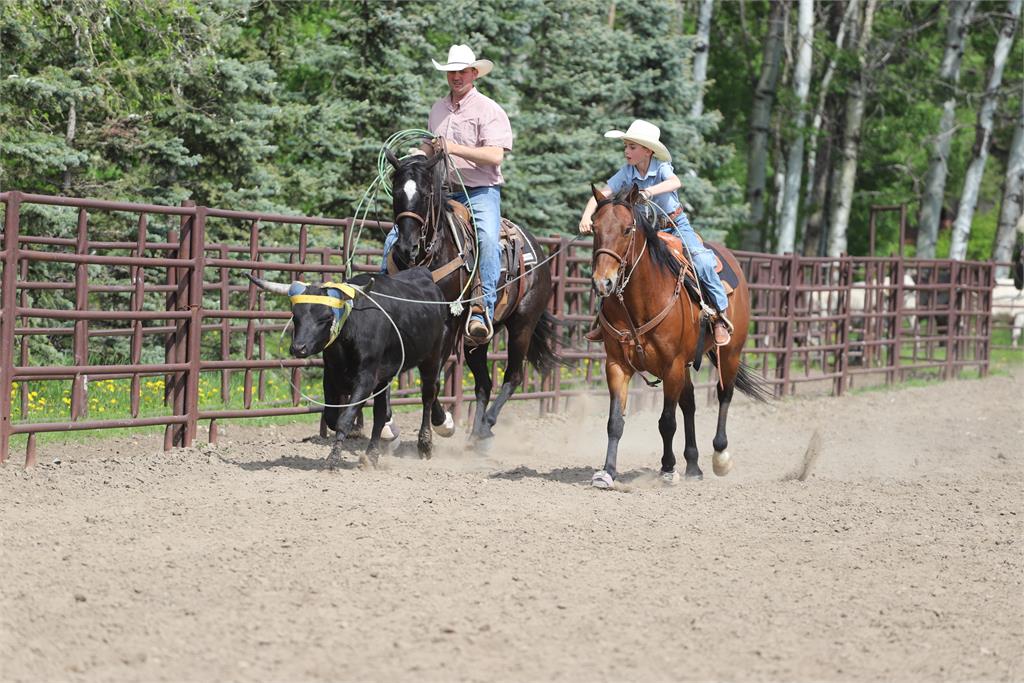 Image #7 (CHOCOLATE CHIP )