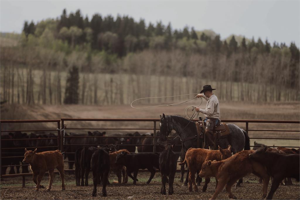 Image #5 (GAYLA SLIDERS SMOKIN)