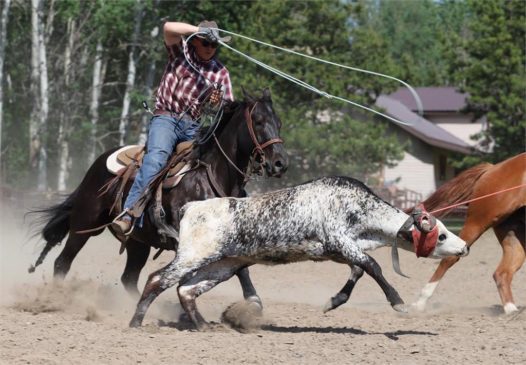 Image #4 (FOUR M BLACK SMOKE)