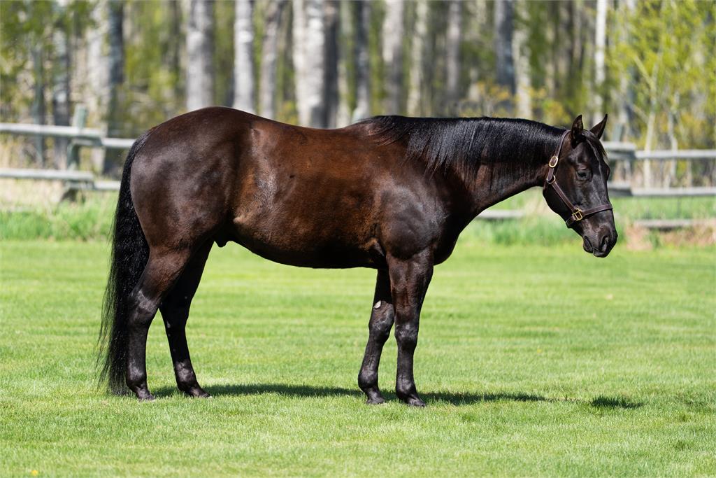 Image #9 (FOUR M BLACK SMOKE)