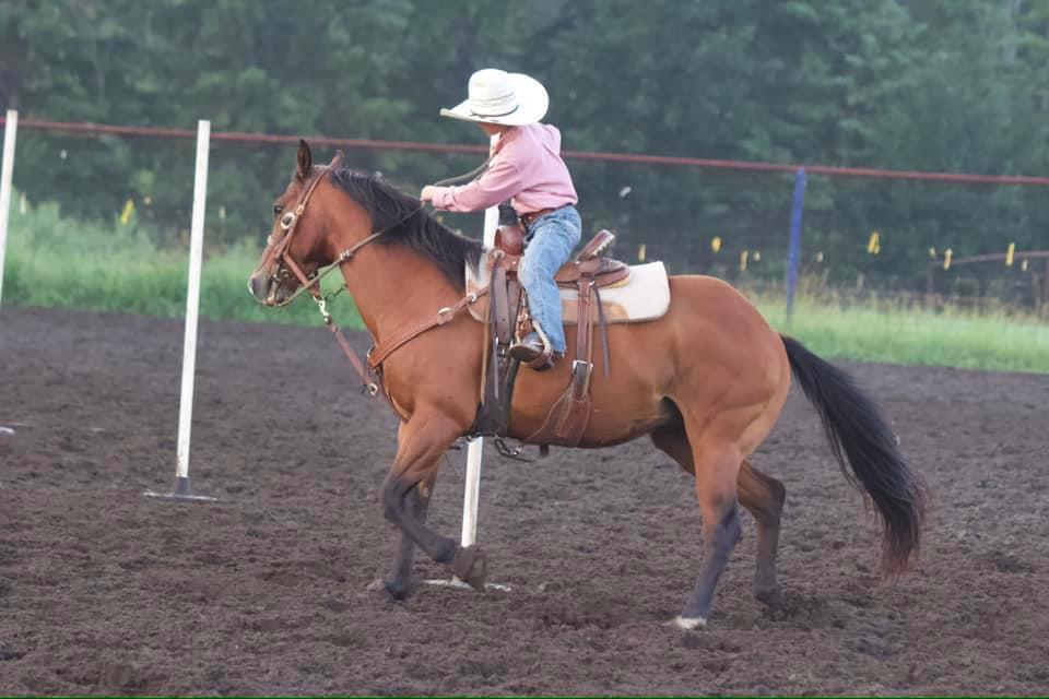 Image #2 (CHOCOLATE CHIP )