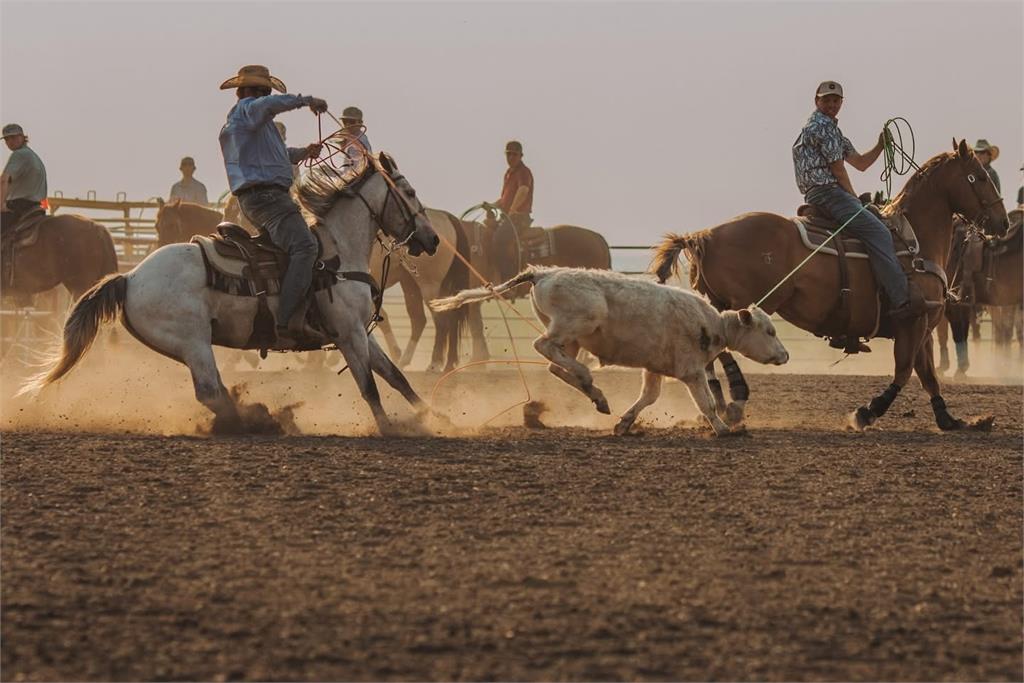 Image #2 (PEP IN HIS CHEX)