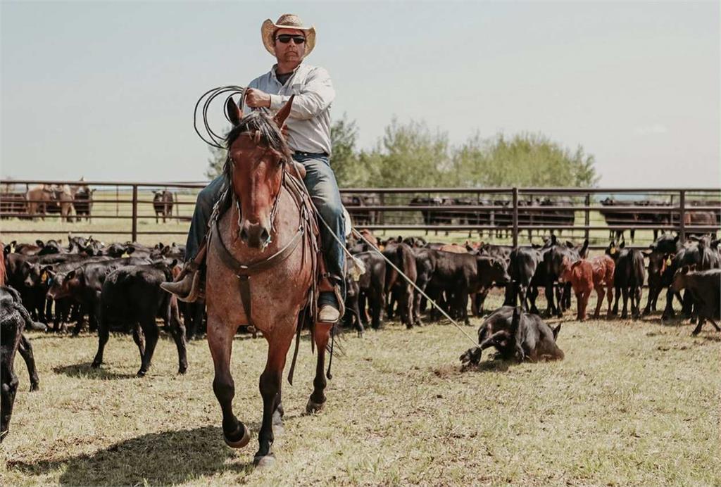 Image #4 (WHISKEY ROYALTE)