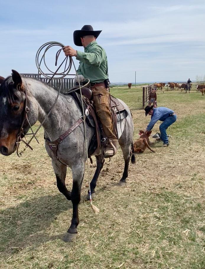 Image #2 (BMP PEPTOS SMUDGE)