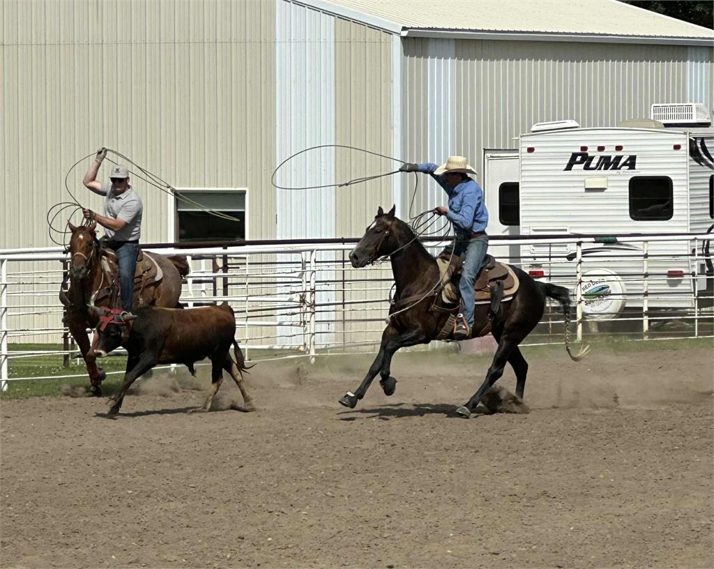 Image #4 (WRANGLERS AND GIN)