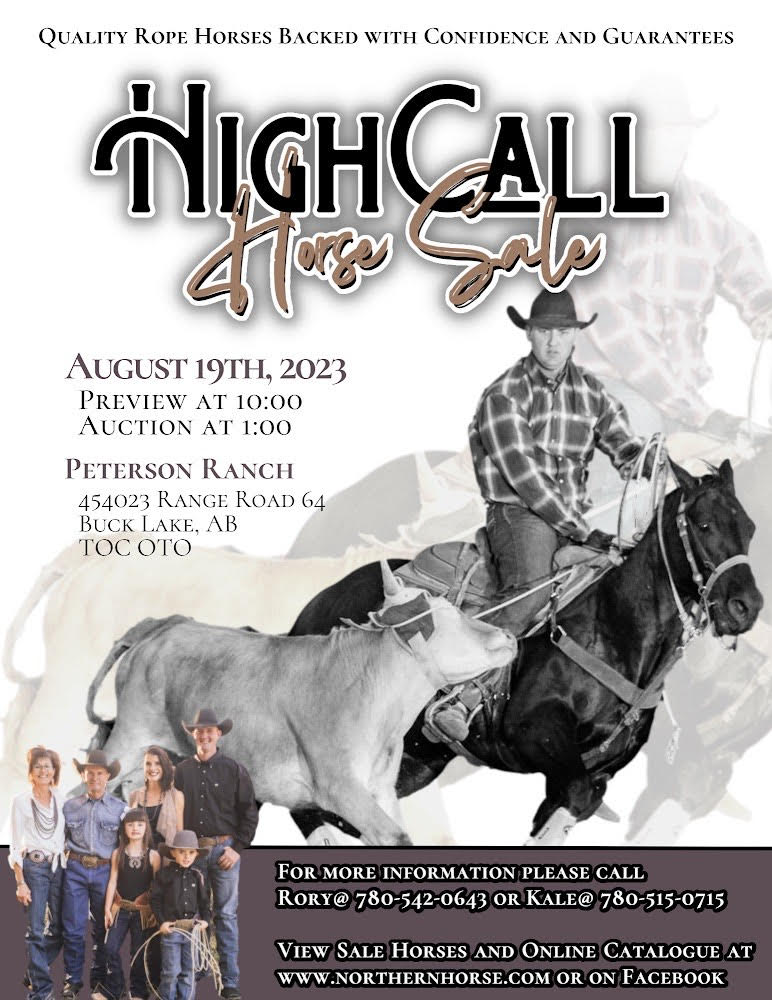 High Call Horse Sale